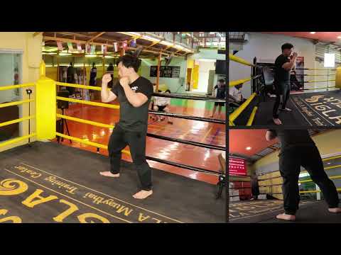 Muay Thai movement overview
