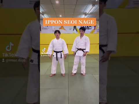一本背負投 — 短い実演動画 2