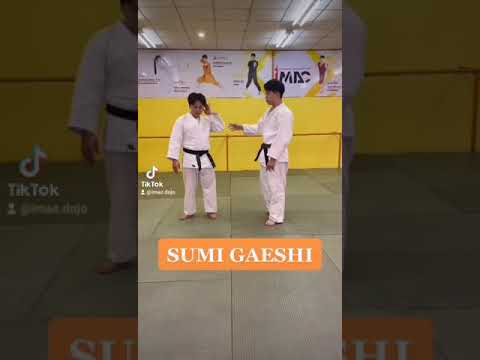 Sumi Gaeshi — คลิปสั้น 3