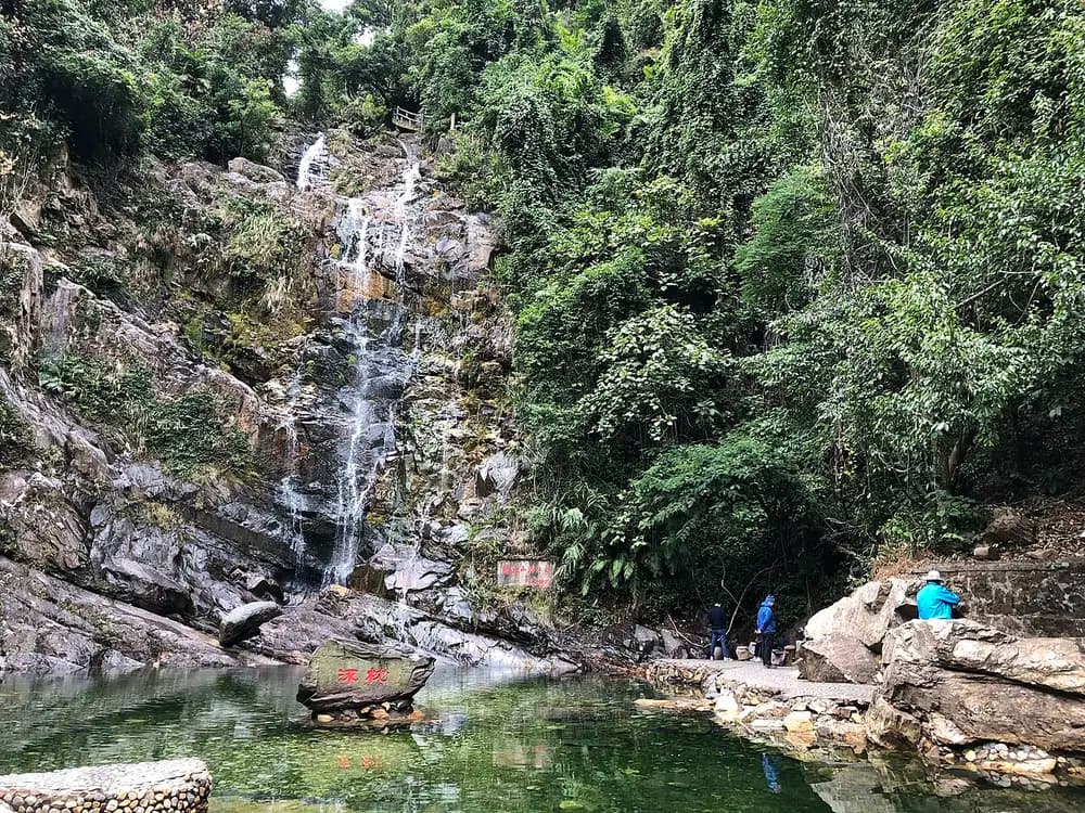 山间绿林中,瀑布流入水潭