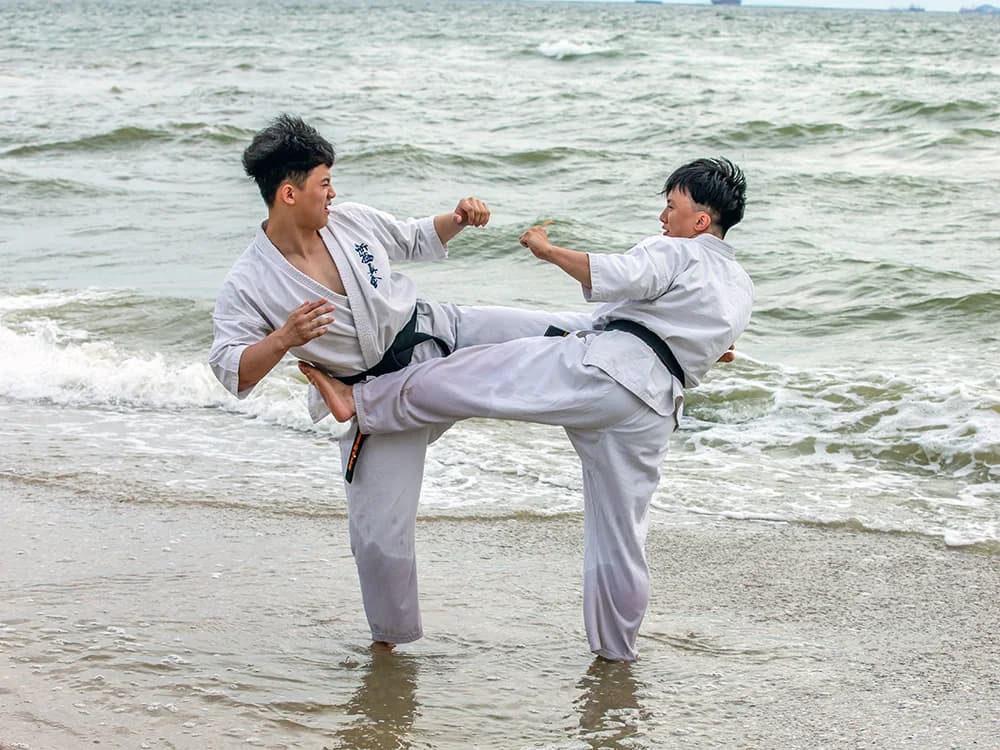 Karate grading practice