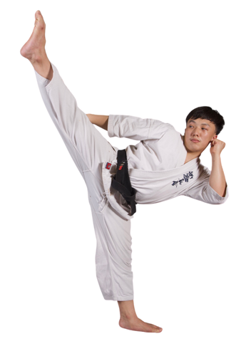 Ryu Shinkyokushinkai Karate